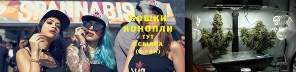 стафф Армянск