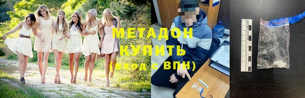 индика Алексин